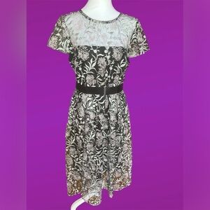 Adriana Papell Embroided Mini Dress Size 12